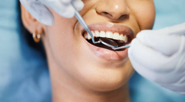 Best Holiday Emergency Dentist in Fruitland, MD